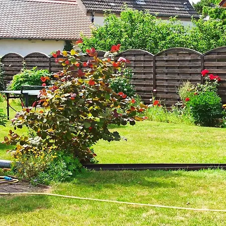 Fe'Wo Dina Ueckermünde